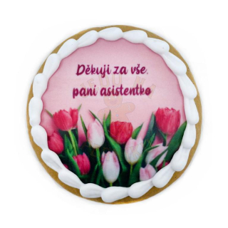 Perníček - děkuji za vše, paní asistentko